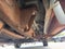 2003 Chevrolet Silverado 1500HD LT